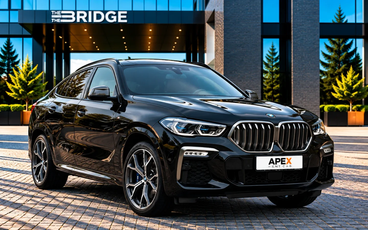 BMW X6 G06 2020