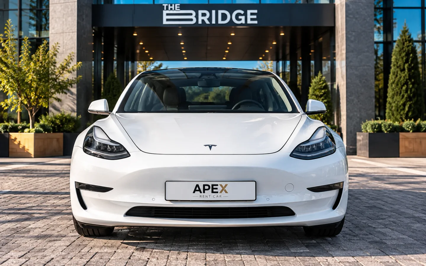 Tesla Model 3 2020