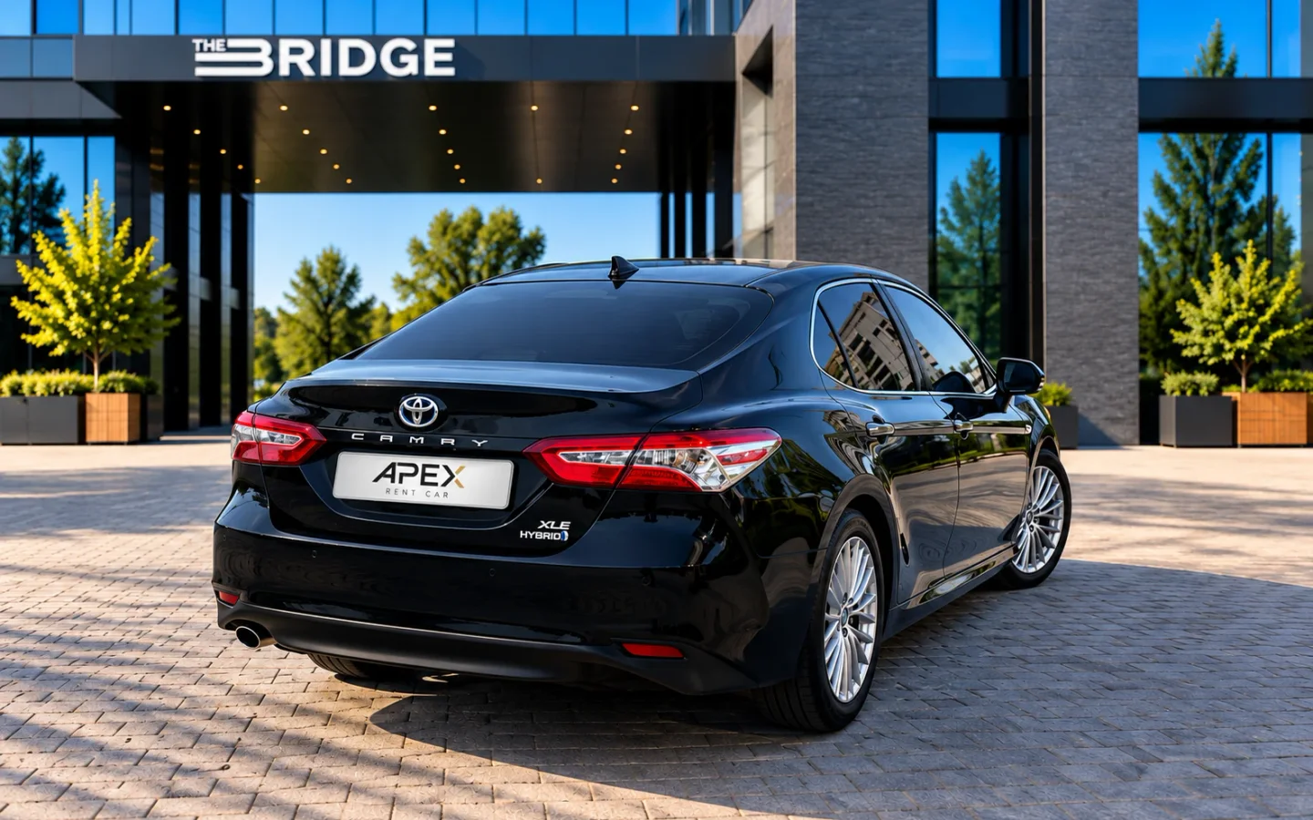 Toyota Camry XV70 2020 — фото 5