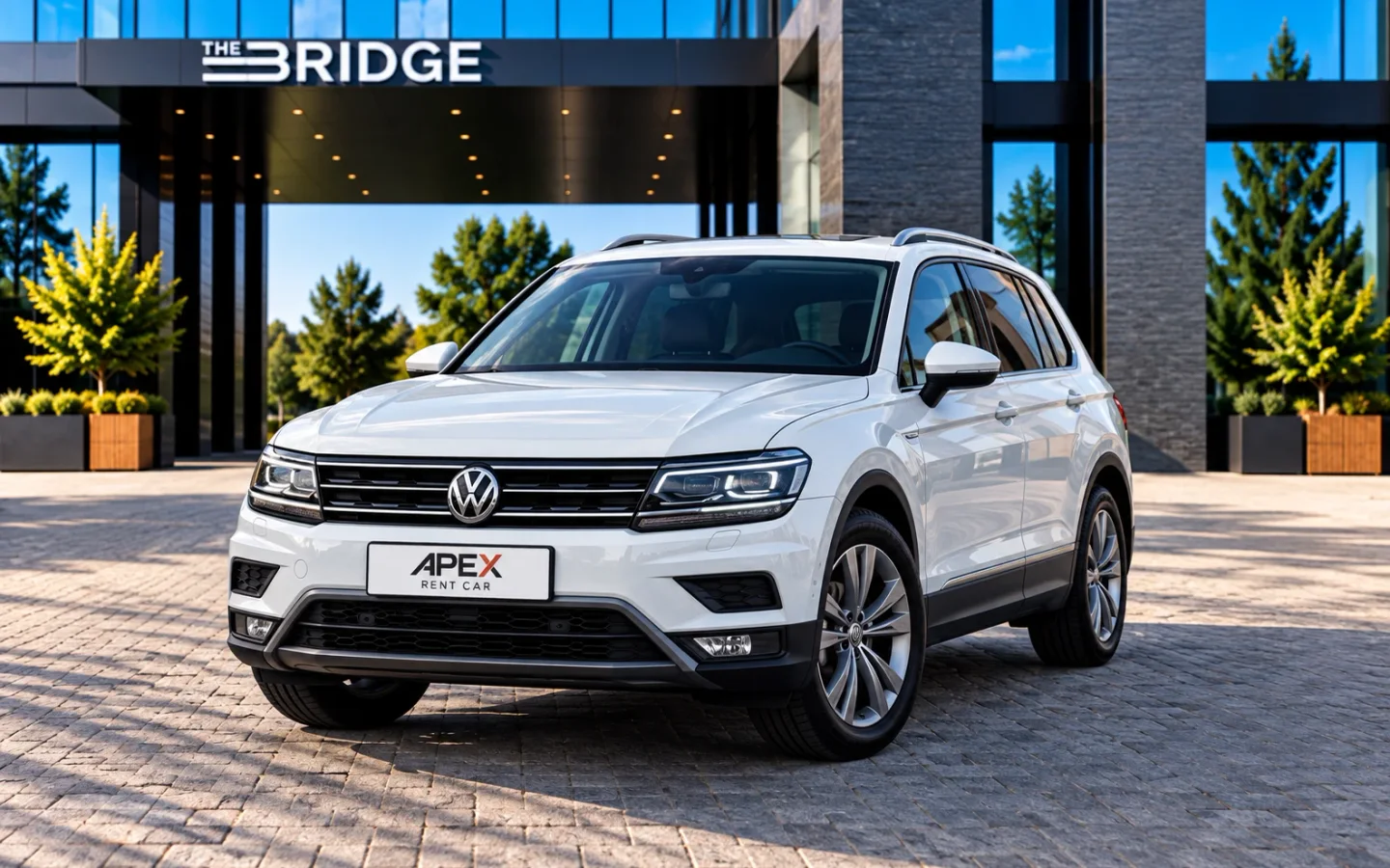 Volkswagen Tiguan 2019 — фото 2